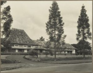 Three times lucky Ill 1 European unit of the Red Cross Hospital in Buitenzorg